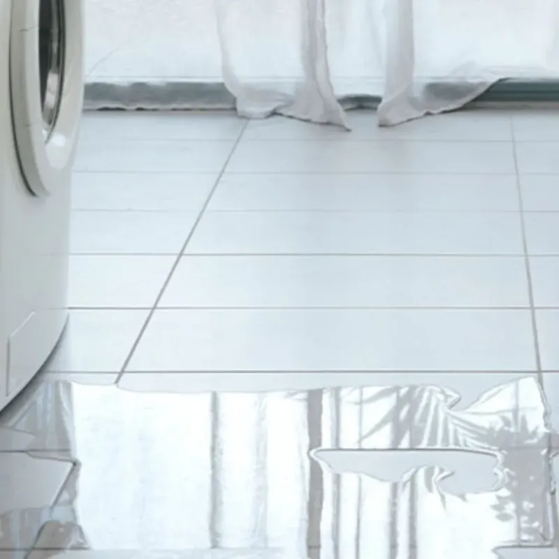 Appliance Leak Cleanup in Lexington, TX