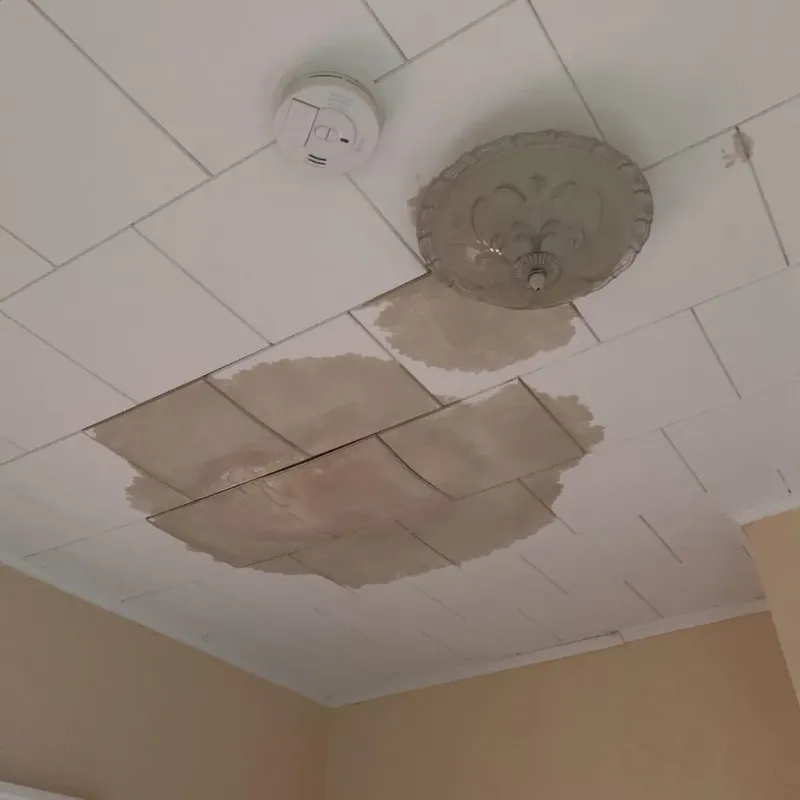 Ceiling Water Damage Repair in Lexington, TX