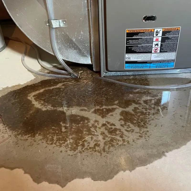 Pipe Burst and Leak Restoration in Lexington, TX