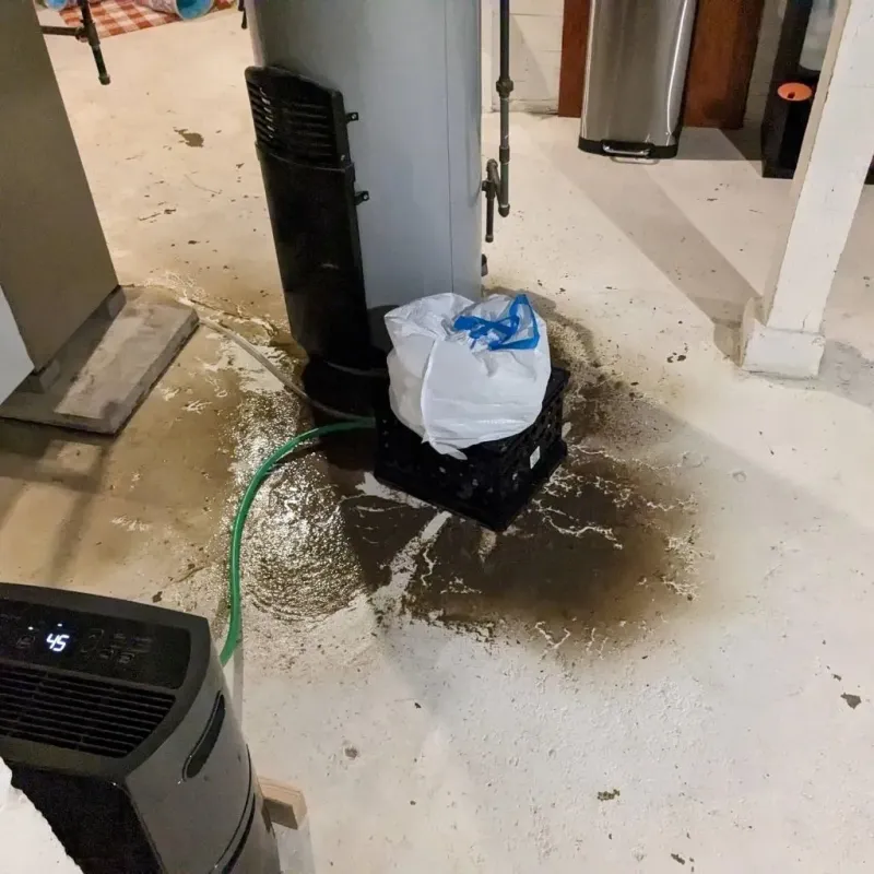 Sewage Backup Cleanup Service in Lexington, TX